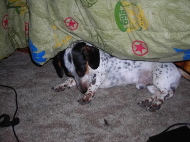 DSCN4938.jpg