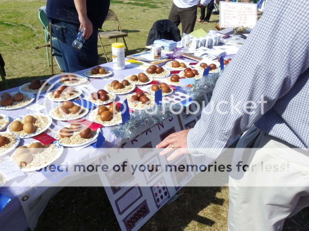 IMGP1036.jpg