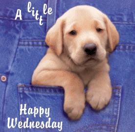 golden-wed.gif