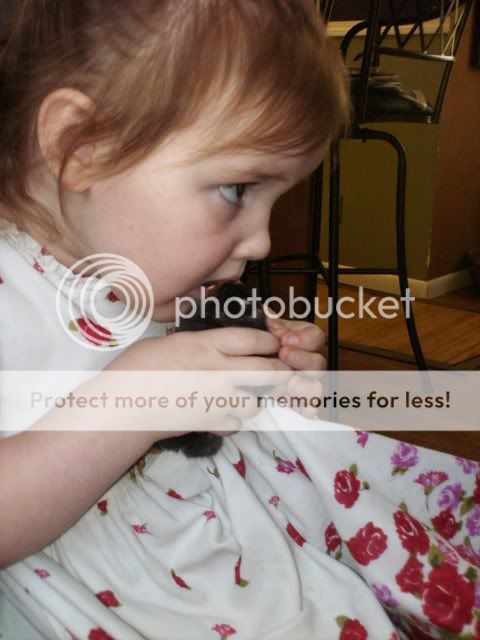 Picture080.jpg