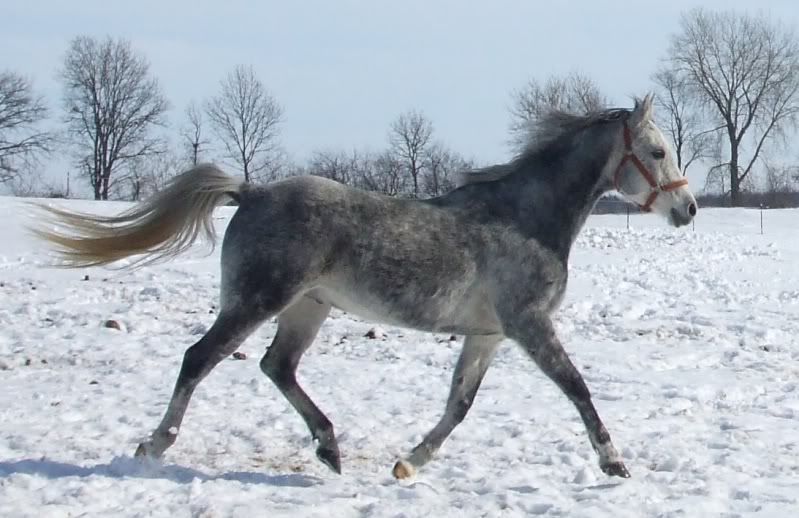 DSCF3164.jpg