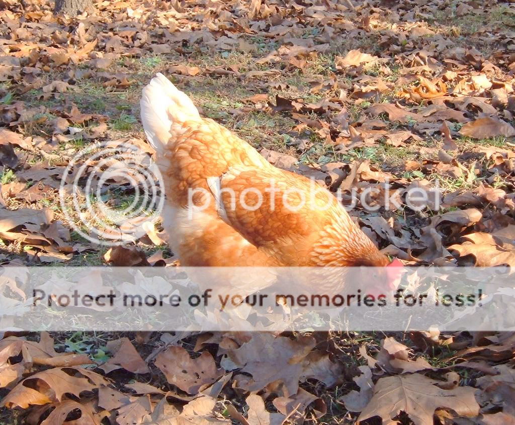 DSCF8057.jpg