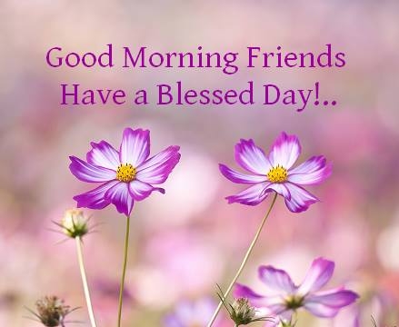 77371-Good-Morning-Friends-Have-A-Blessed-Day.jpg
