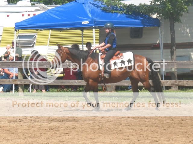 IMG_0972.jpg