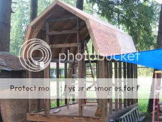 100_0014-3.jpg
