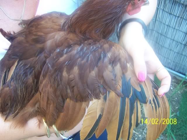 feb011.jpg