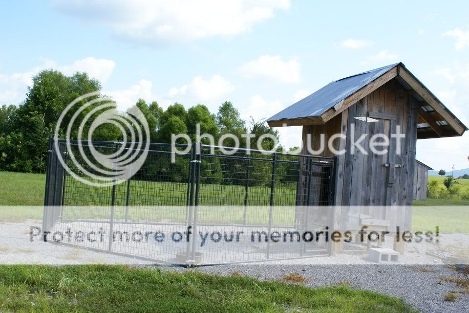 chickenhouse.jpg