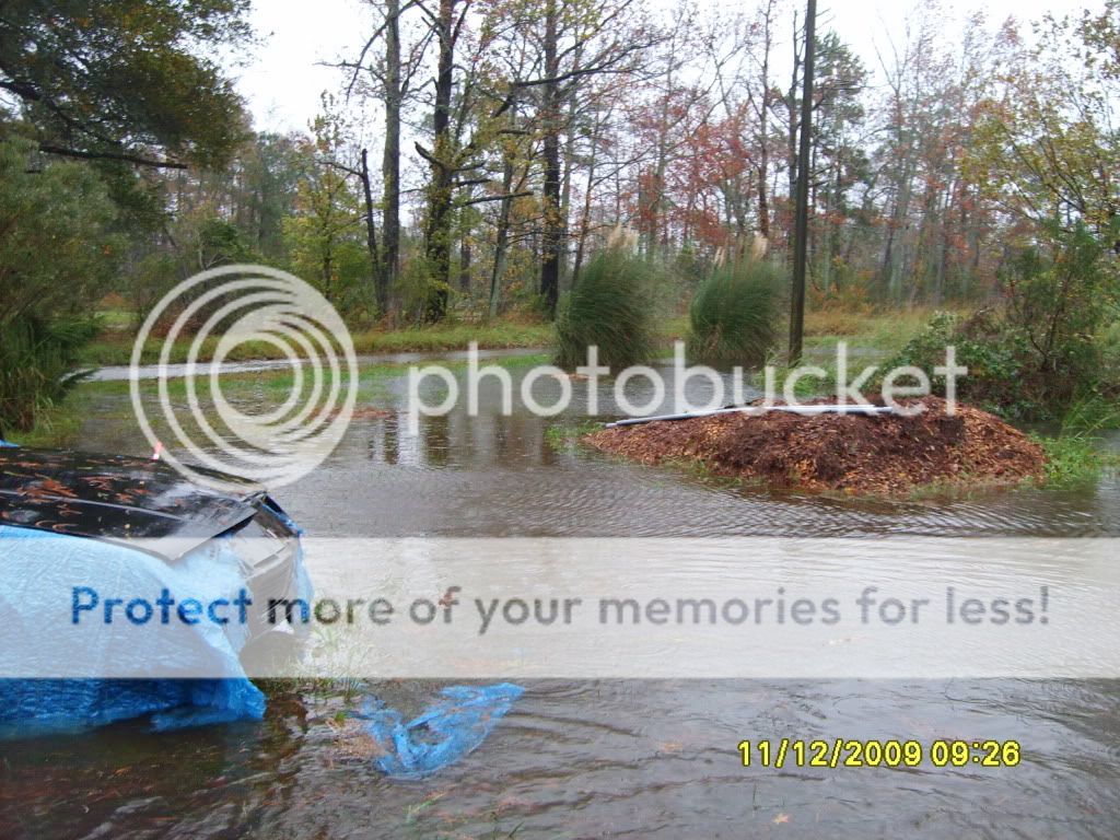 flood031.jpg