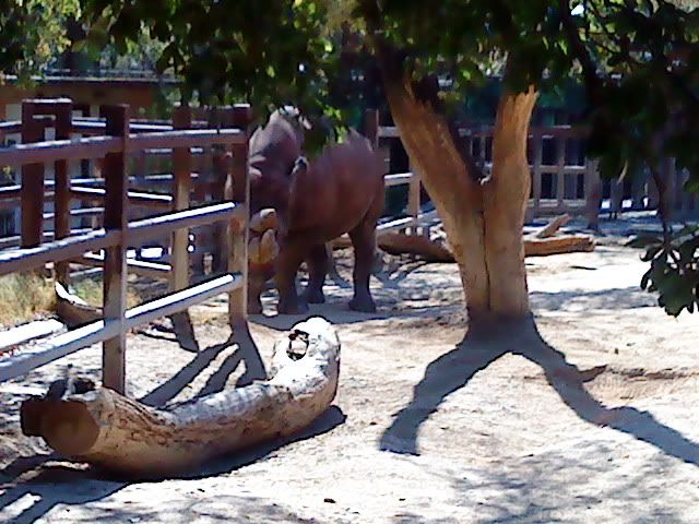 DSC08363.jpg