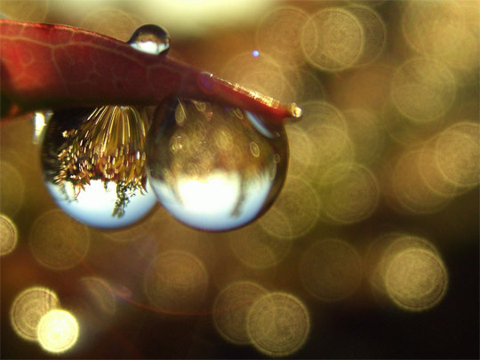 bokeh_photography_20.jpg