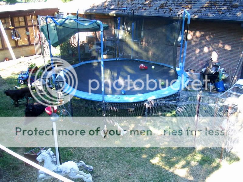 trampolinepen012.jpg