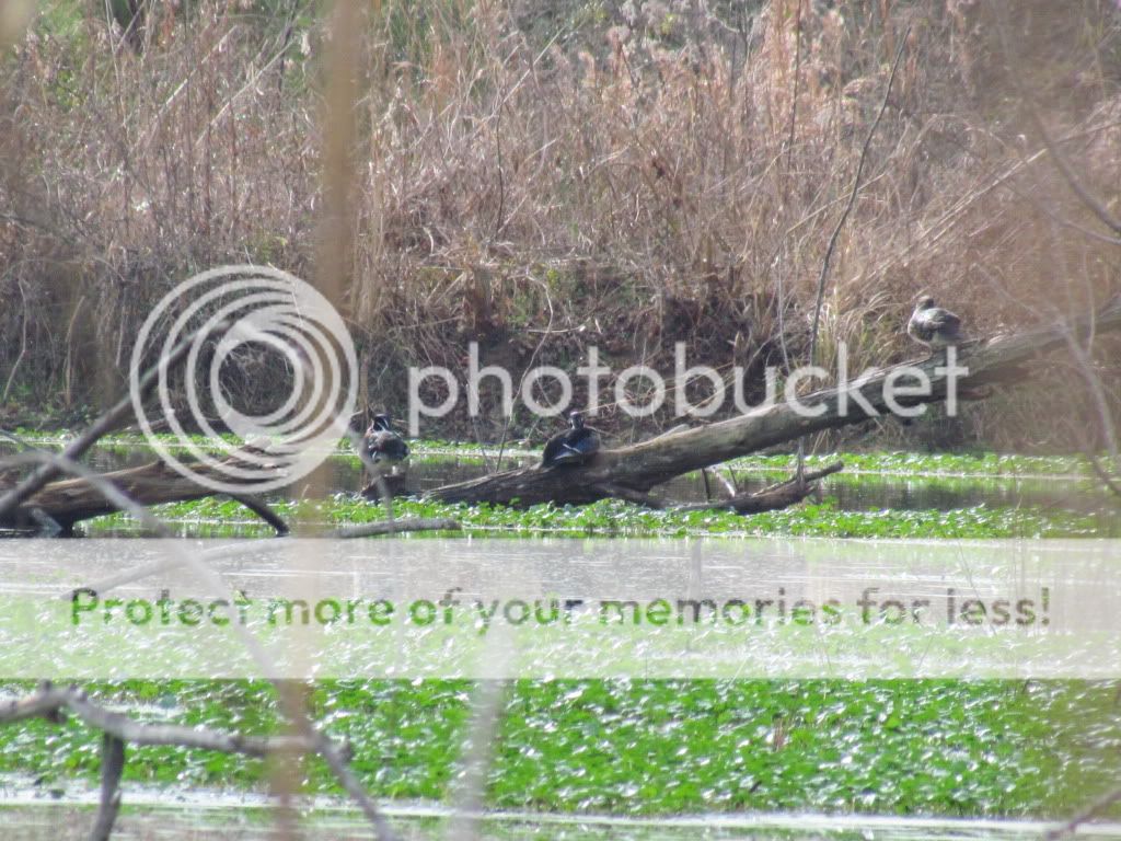 IMG_0051.jpg