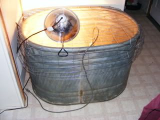 Dec30_22081832.jpg