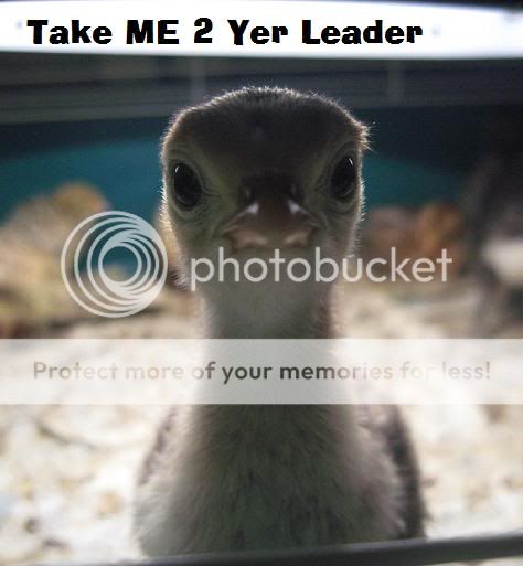 1takemetoyourleader.jpg