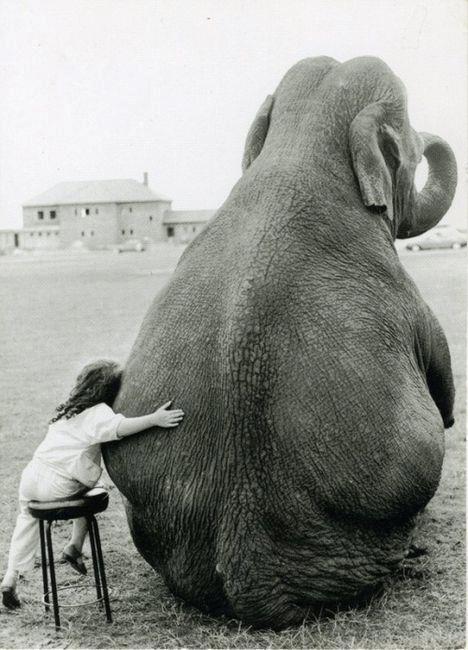girl-hugging-elephant.jpg