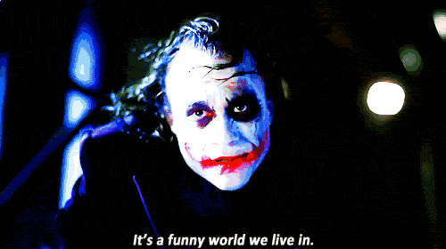 tumblr_m8k4xvRNpF1rywyu8o1_500.gif
