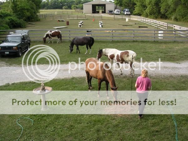 GrandviewFarm-8-4-20051.jpg