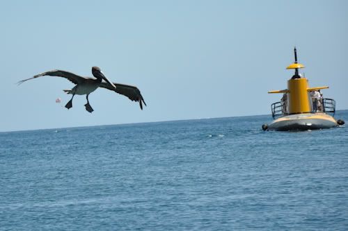 DSC_0343.jpg