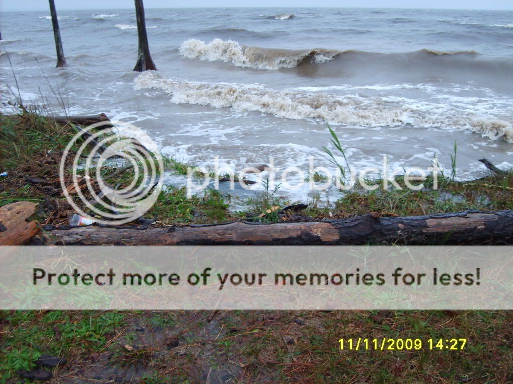 flood007.jpg