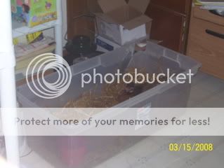 001-12.jpg