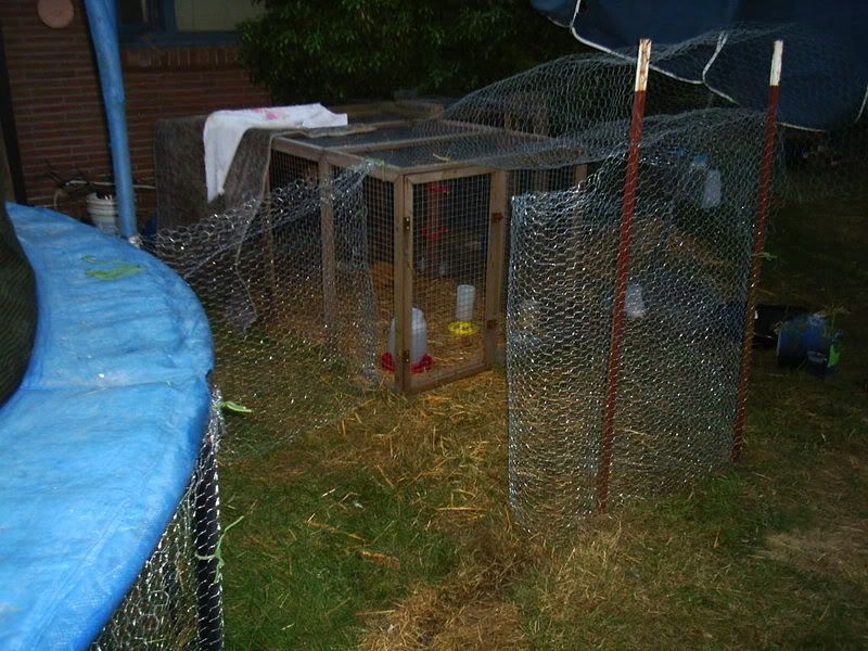 trampolinepen2001.jpg