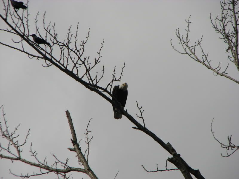 IMG_1704.jpg
