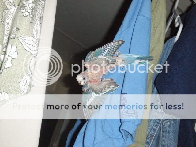 DSCF1060.jpg