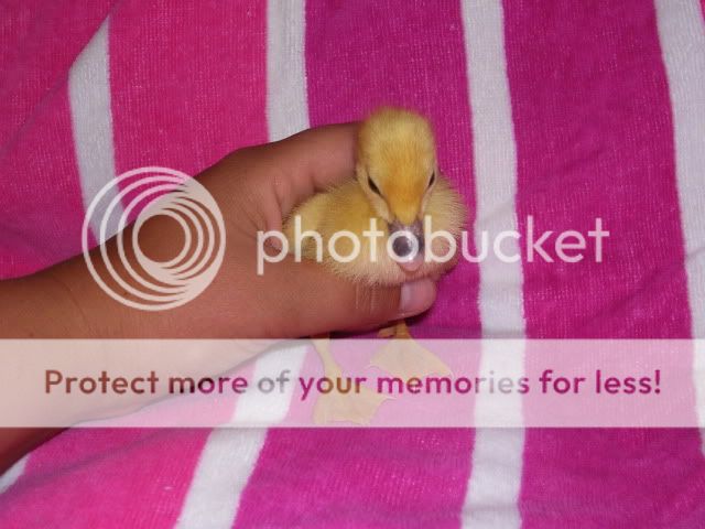 100_3040.jpg