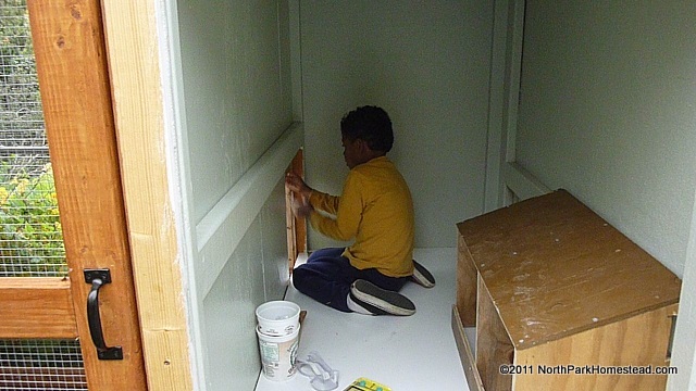 nestBoxesAndPopDoor.jpg