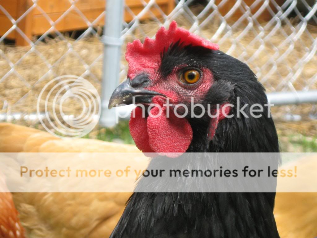 BeautifulMildred.jpg