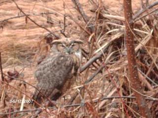 Picture069-1.jpg