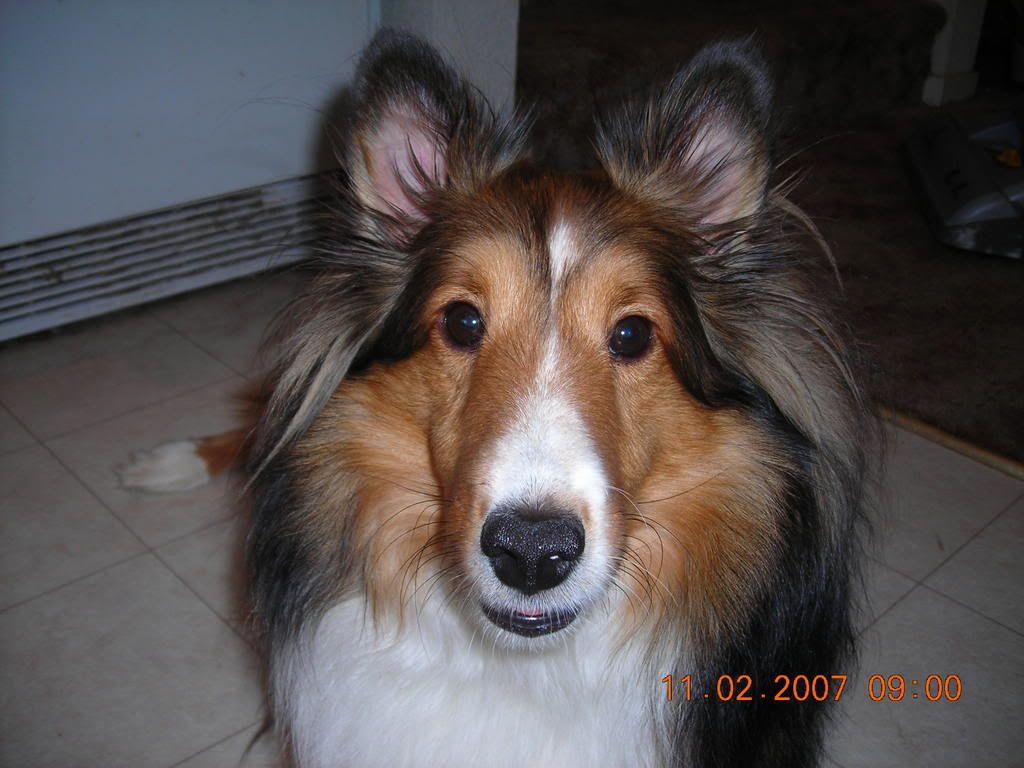 DSCN1238.jpg