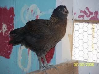 100_1938.jpg