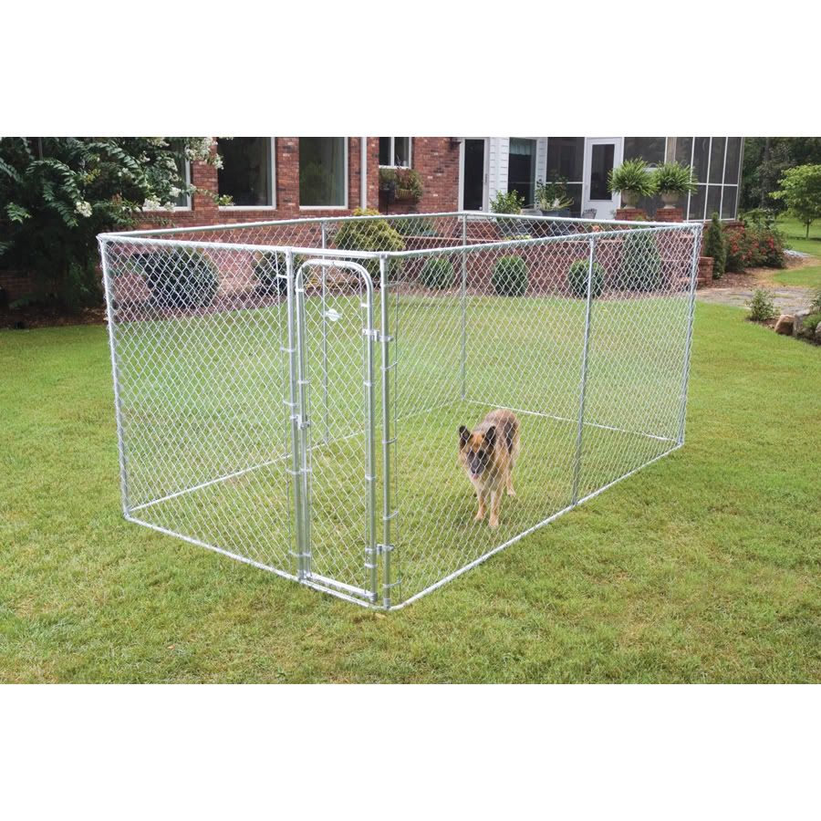 DogKennel.jpg