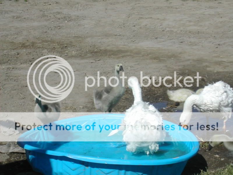 DSCN5310.jpg