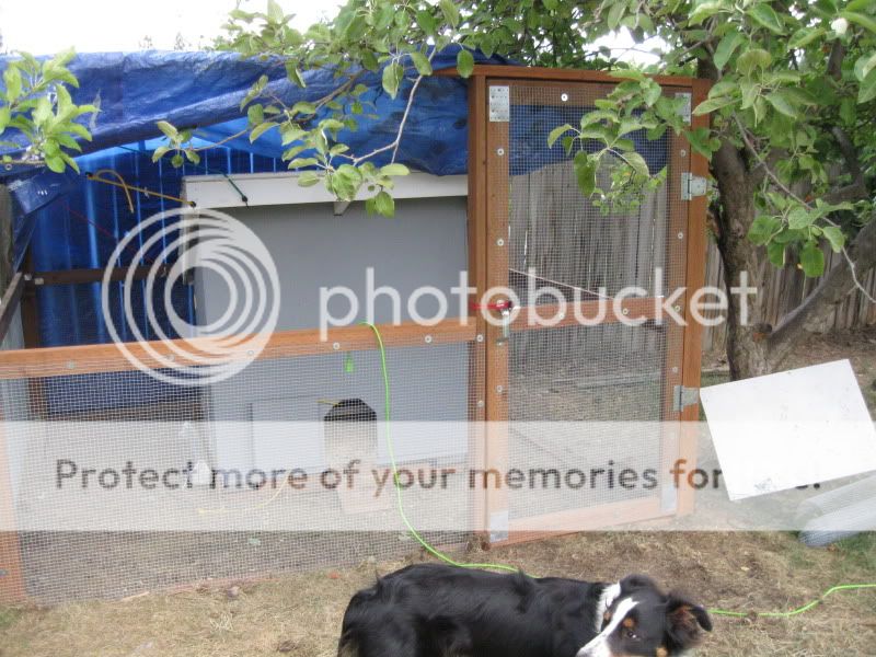 July22nd2011001-1.jpg