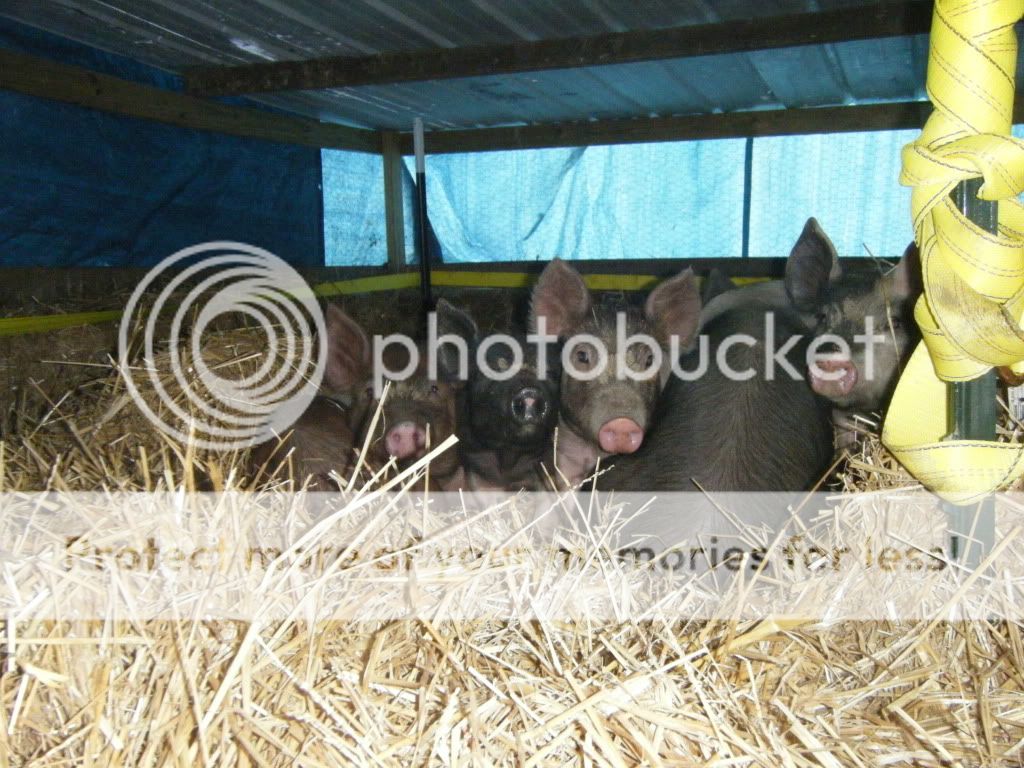 DSCF2432.jpg