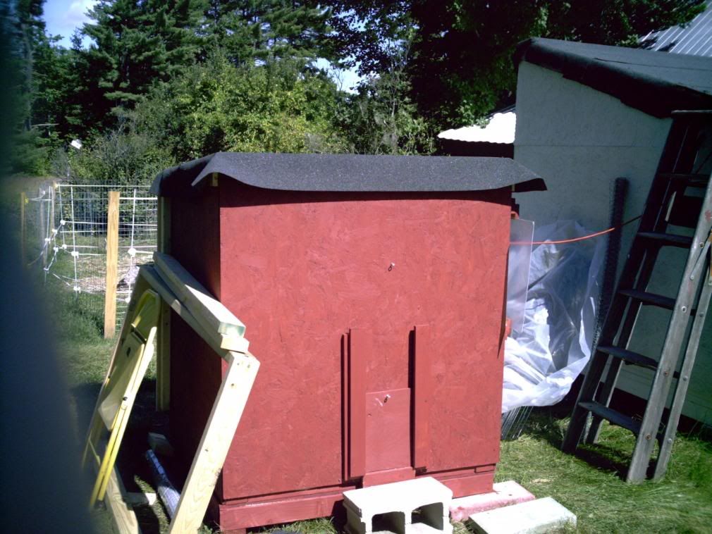 littleredcoop_002.jpg