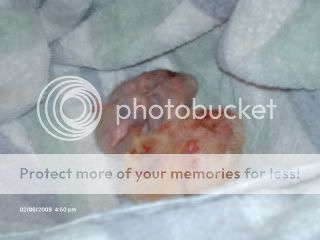 001-5.jpg