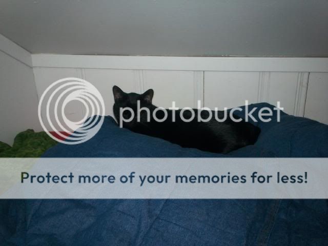 Zoepics2008.jpg