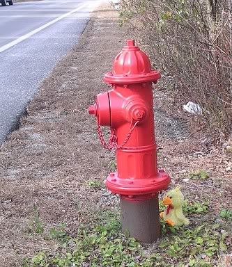 50hydrant.jpg