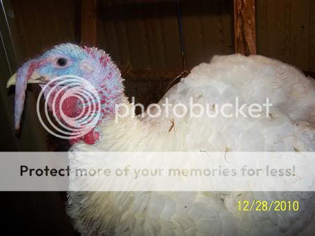 100_6299.jpg