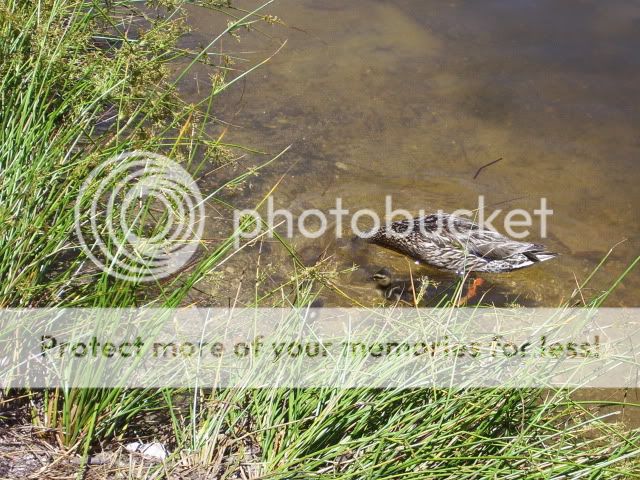 100_3136.jpg