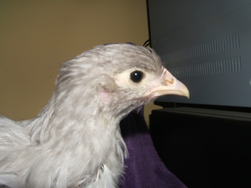 DSCF6940.jpg