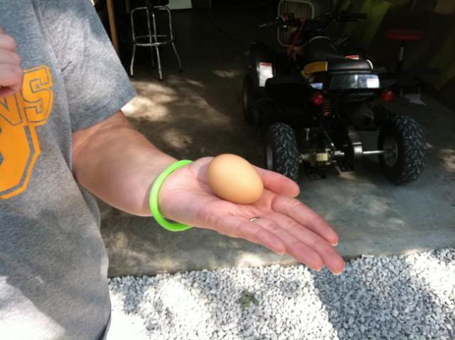 Firstegg7-20-2011.jpg