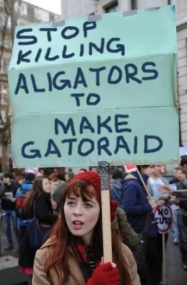 g7GfNxU.png