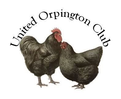 unitedOpr.jpg