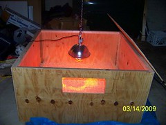 3743647296_c5600a4d2b_m.jpg