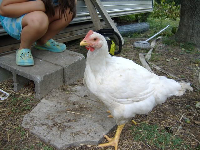 DSCF1829.jpg