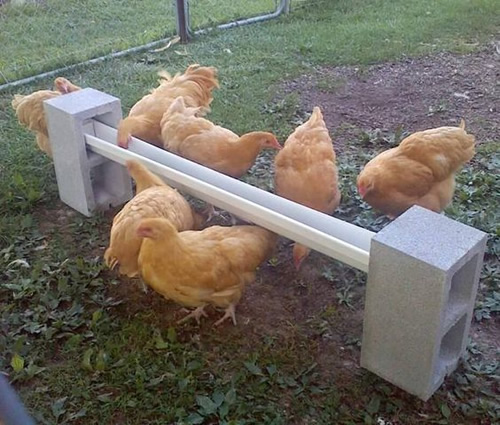 diy-cinder-block-chicken-feeder.jpg